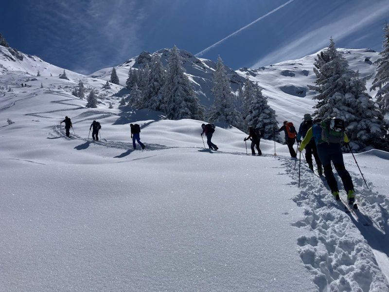 Powderalarm bei Tour und Piste