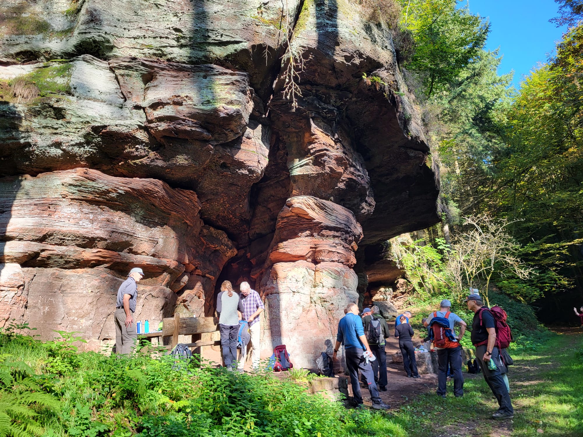 Wandern_Pfälzer_Wald_11.10.jpg